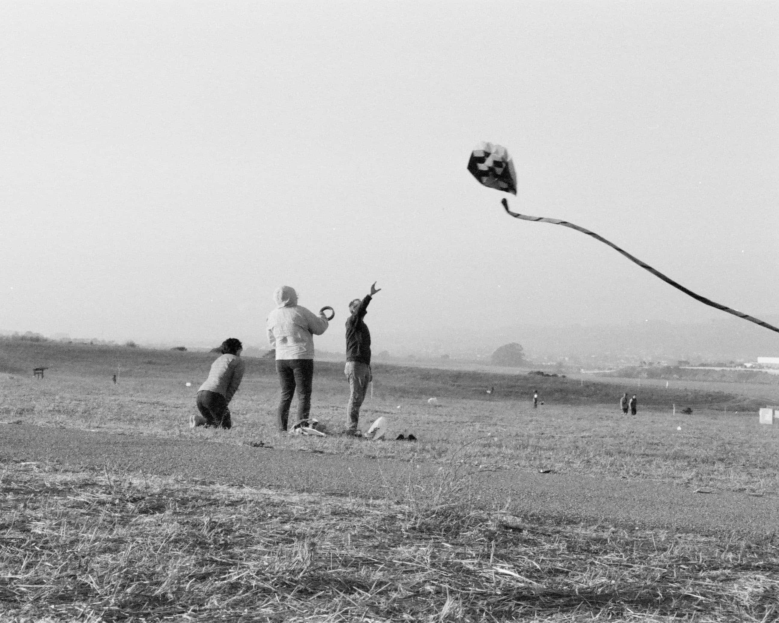 kite