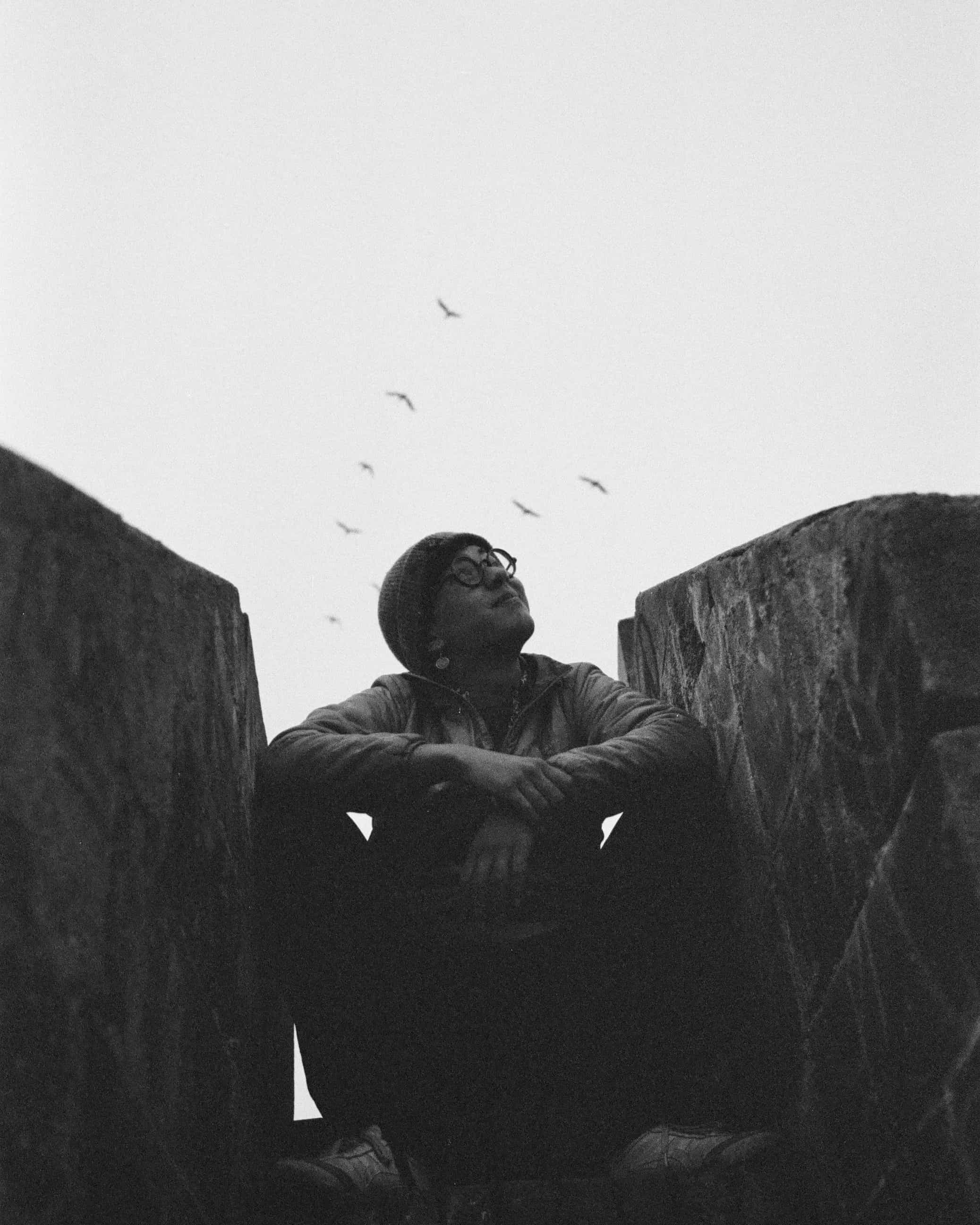 pigeon