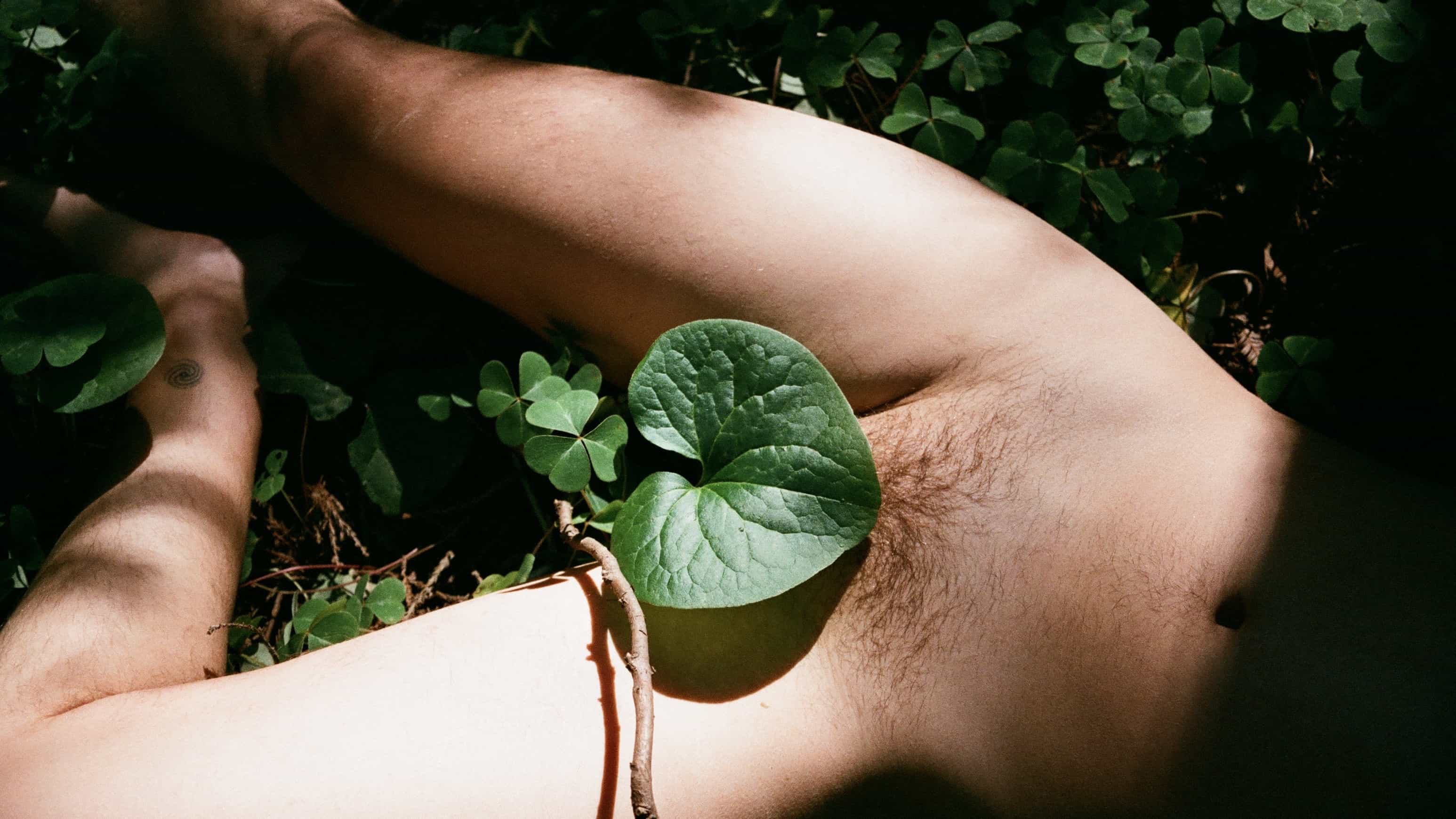 clover-bits