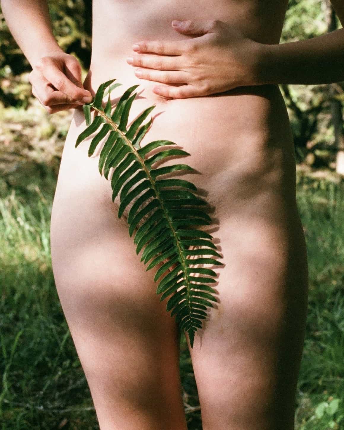 finch-fern-bits