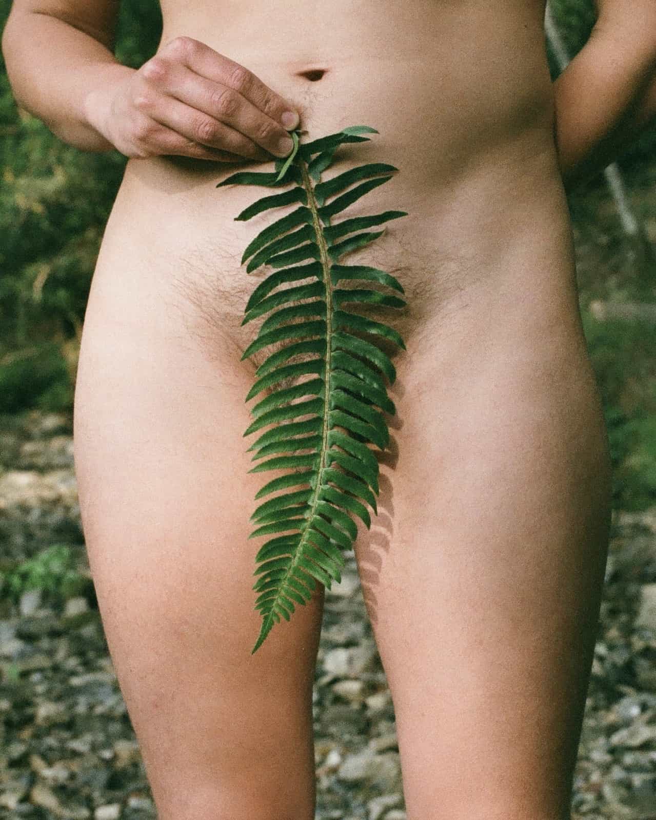 pigeon-fern-bits