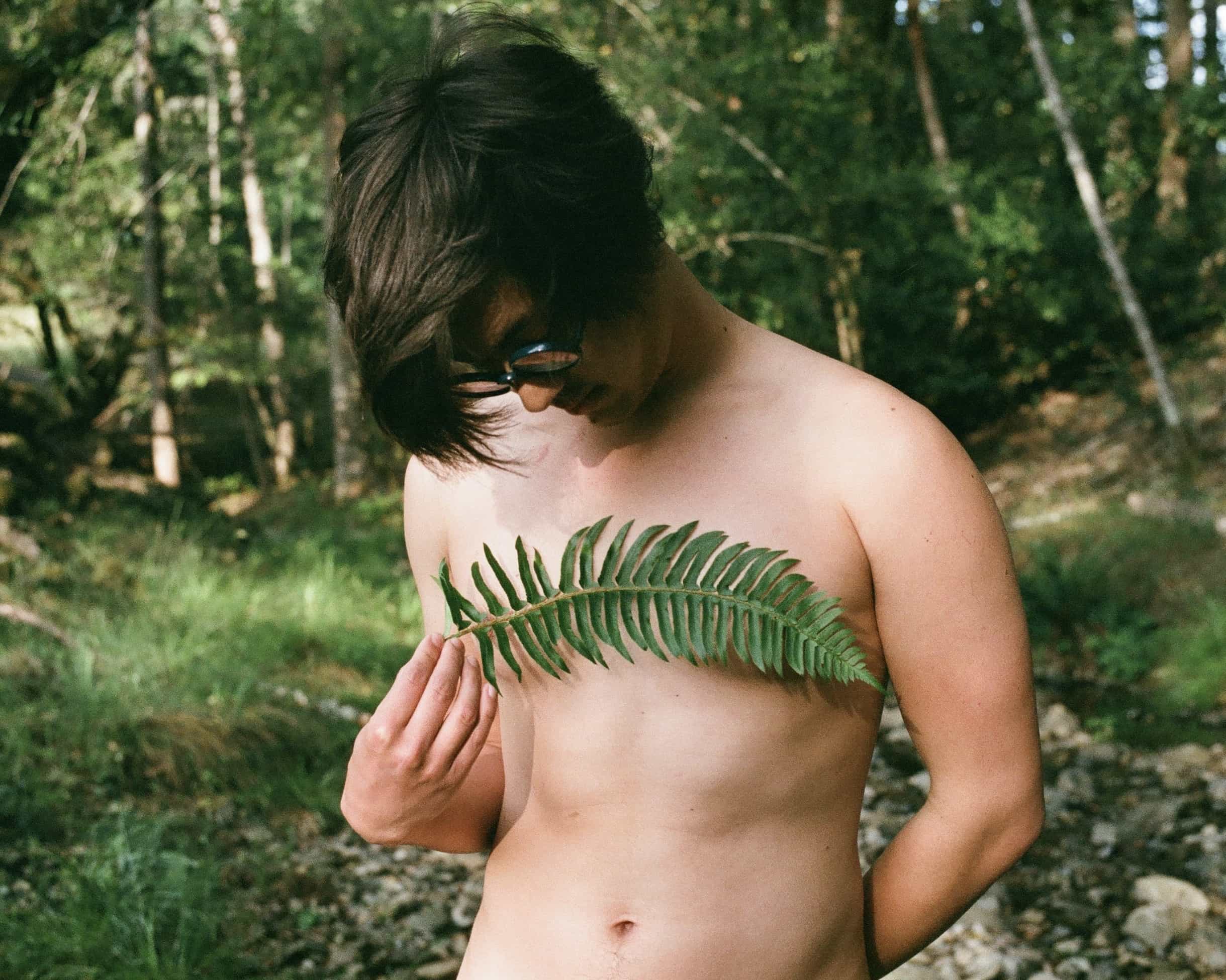 pigeon-fern-nips