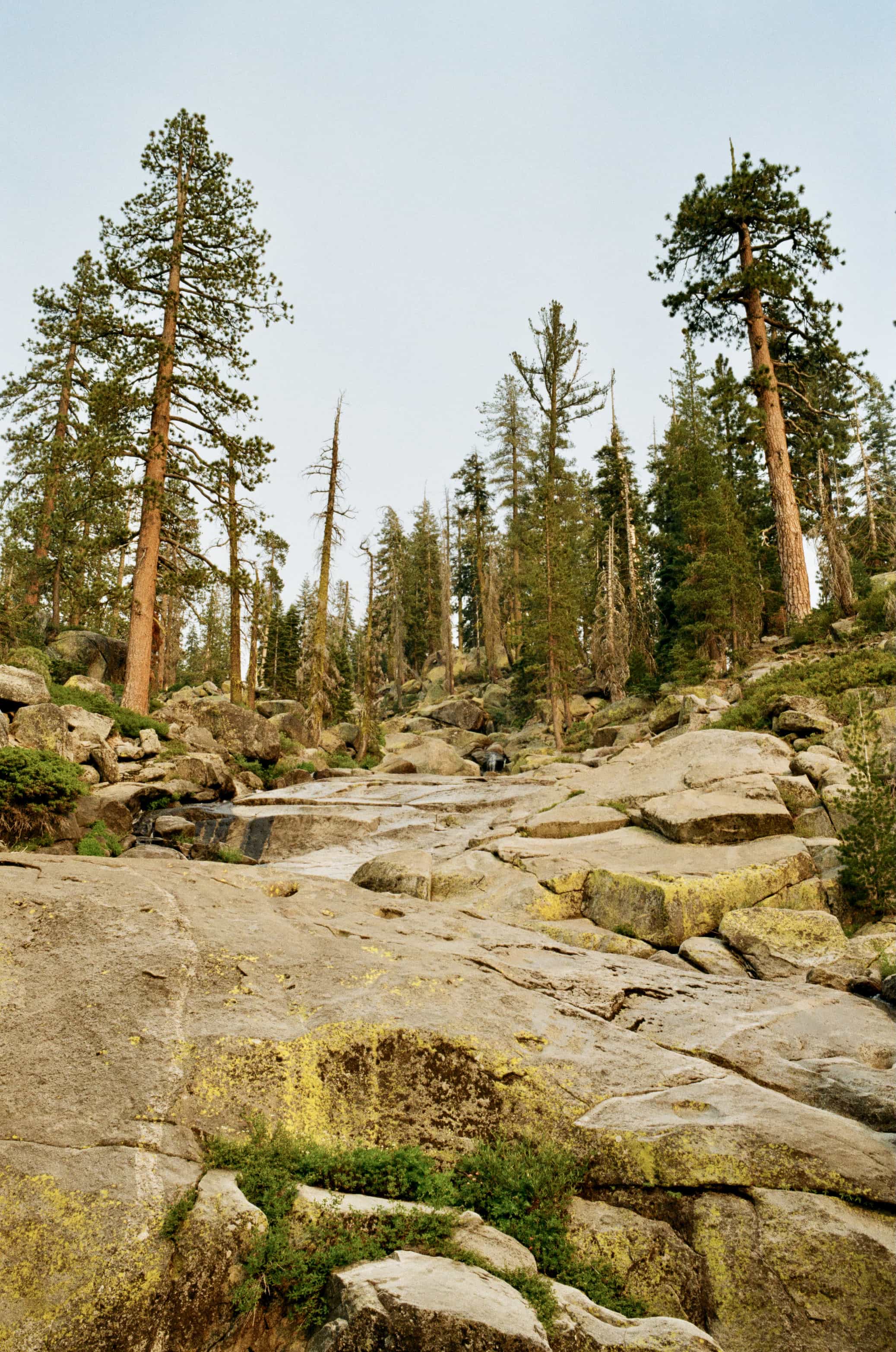 11a