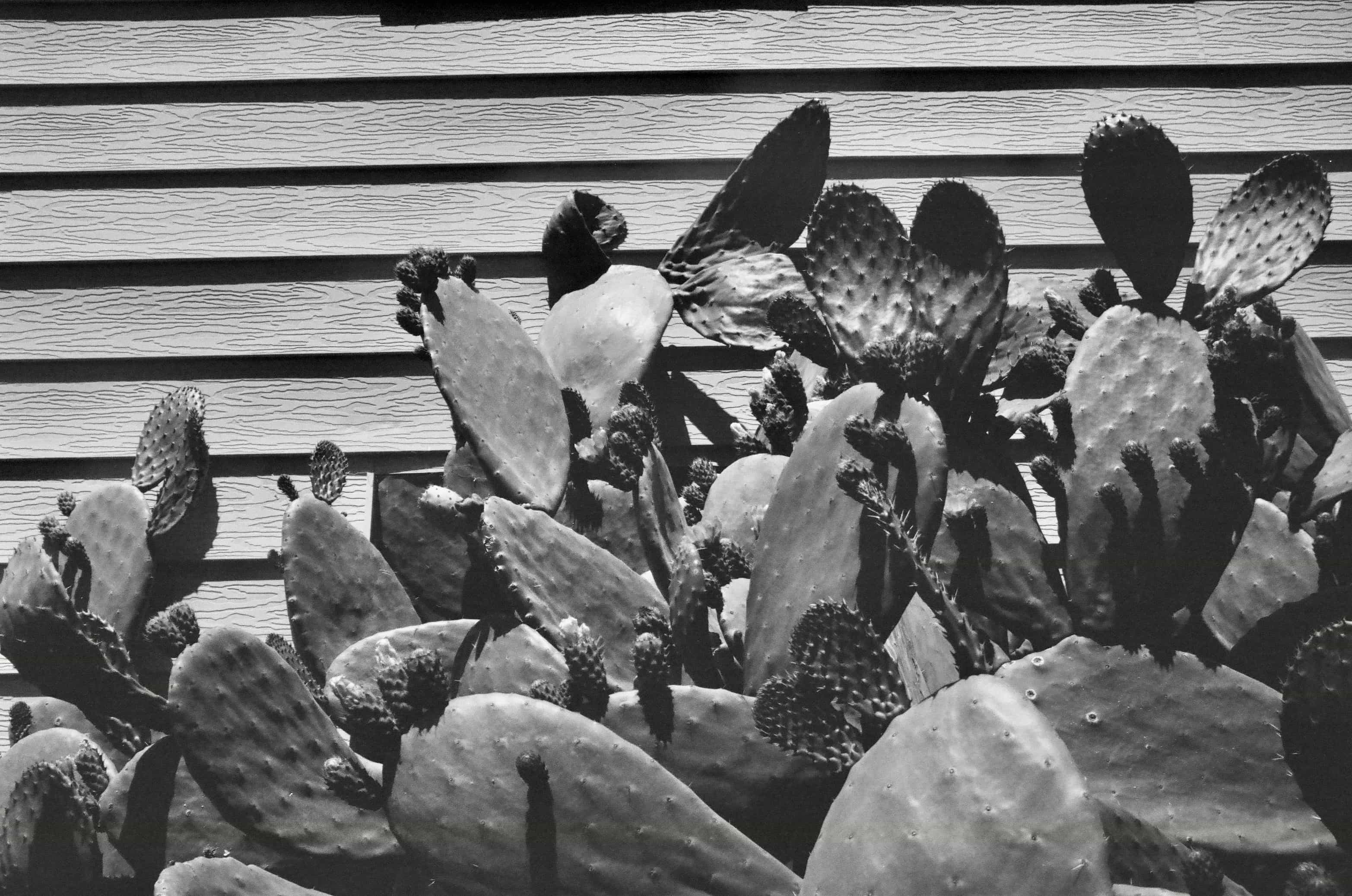 62