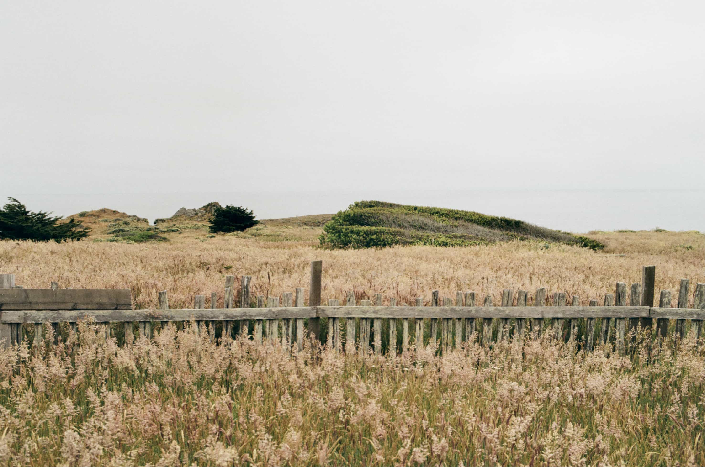 7b