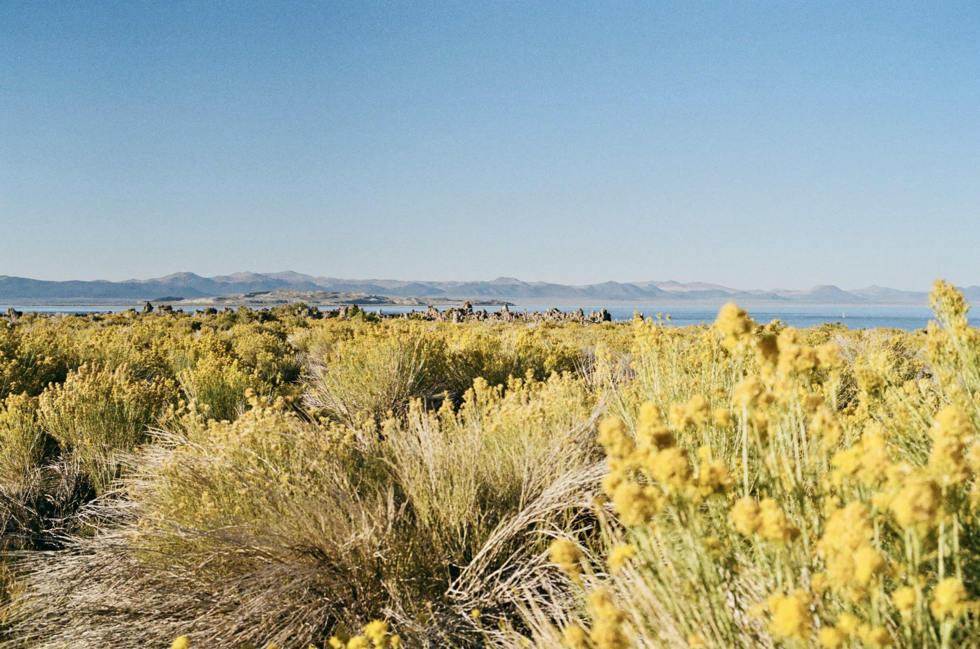 75a